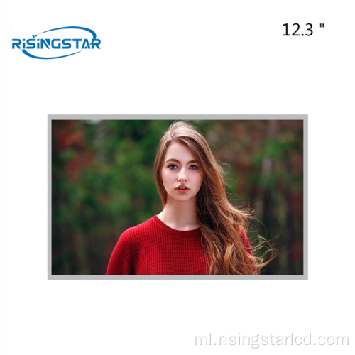 12.3 "AV123Z7M-N11 ഹൈലൈറ്റ് എൽസിഡി മൊഡ്യൂൾ